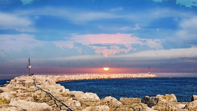 bwin必赢集团：园林绿化养护病虫诊断