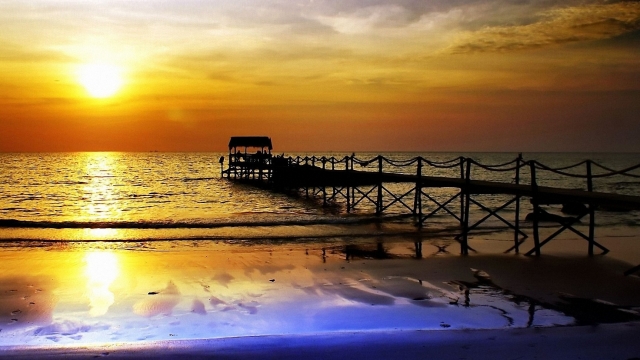 园林绿化养护修剪整形