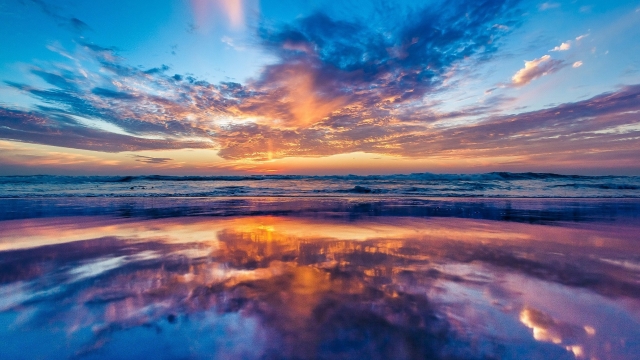 bwin必赢集团：园林绿化害虫种类