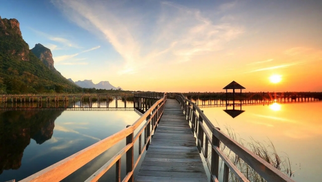 园林绿化盆景造景