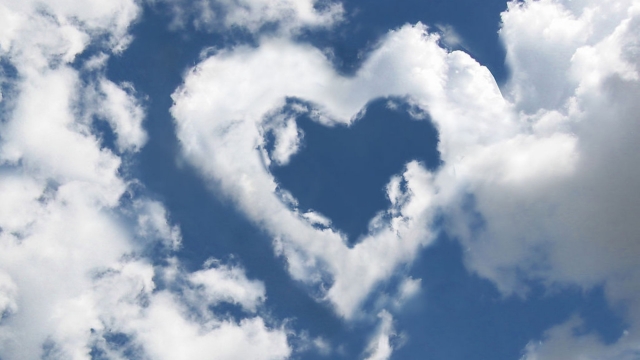 bwin必赢国际：园林绿化的栽植