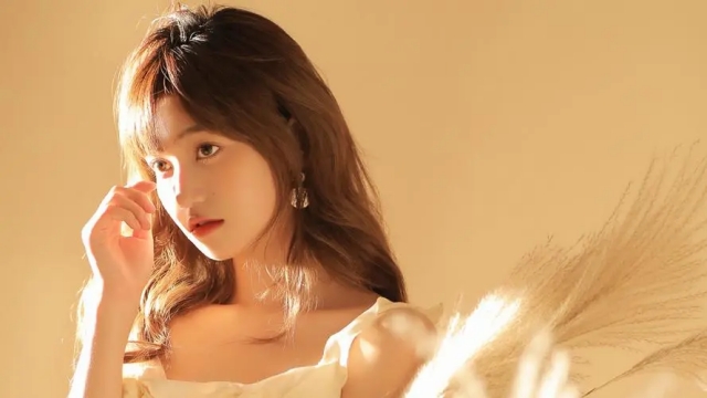 bwin必赢公司：园林绿化阔叶植物