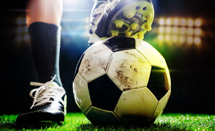 必赢唯一官方网站园林绿化开白色的花