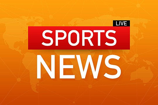 bwin必赢：园林绿化用鼠尾草种植效果